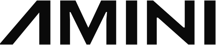 Amini logo, worked with We Developz