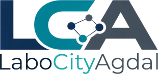 Labo City Agdal logo, worked with We Developz