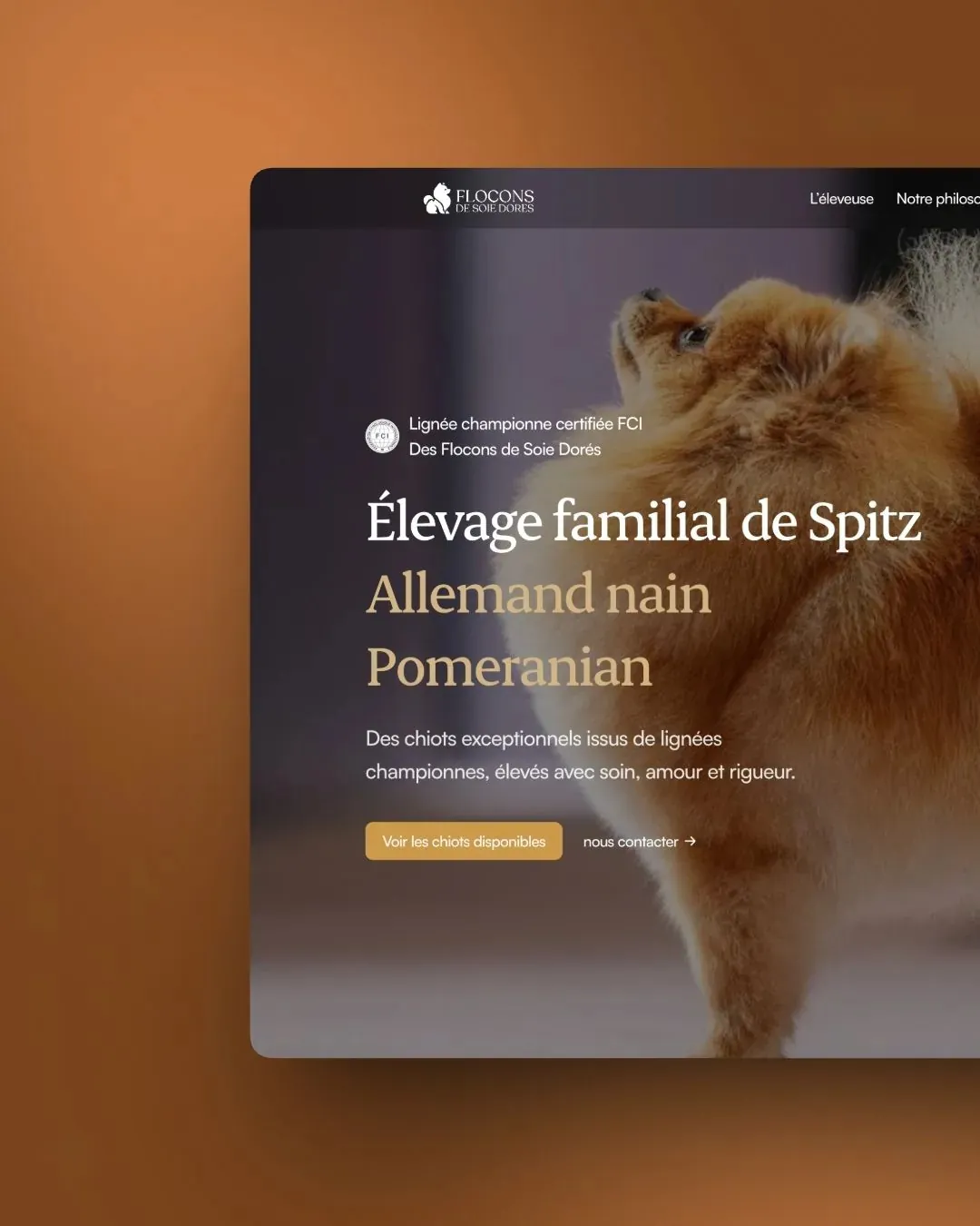 Coton de Soie Landing: Branding · Design · Development by We Developz, screen 1