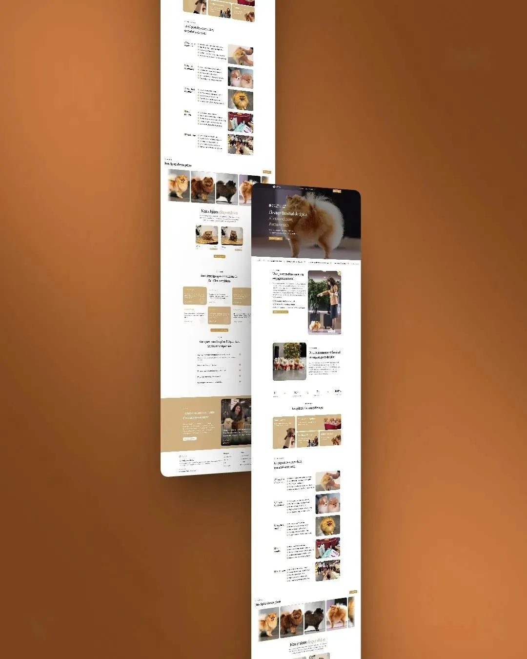 Coton de Soie Landing: Branding · Design · Development by We Developz, screen 3