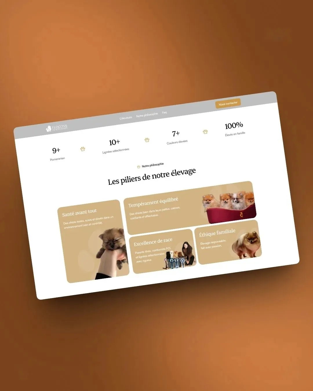 Coton de Soie Landing: Branding · Design · Development by We Developz, screen 4